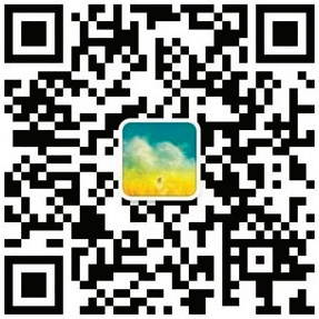 Selina contact QR code
